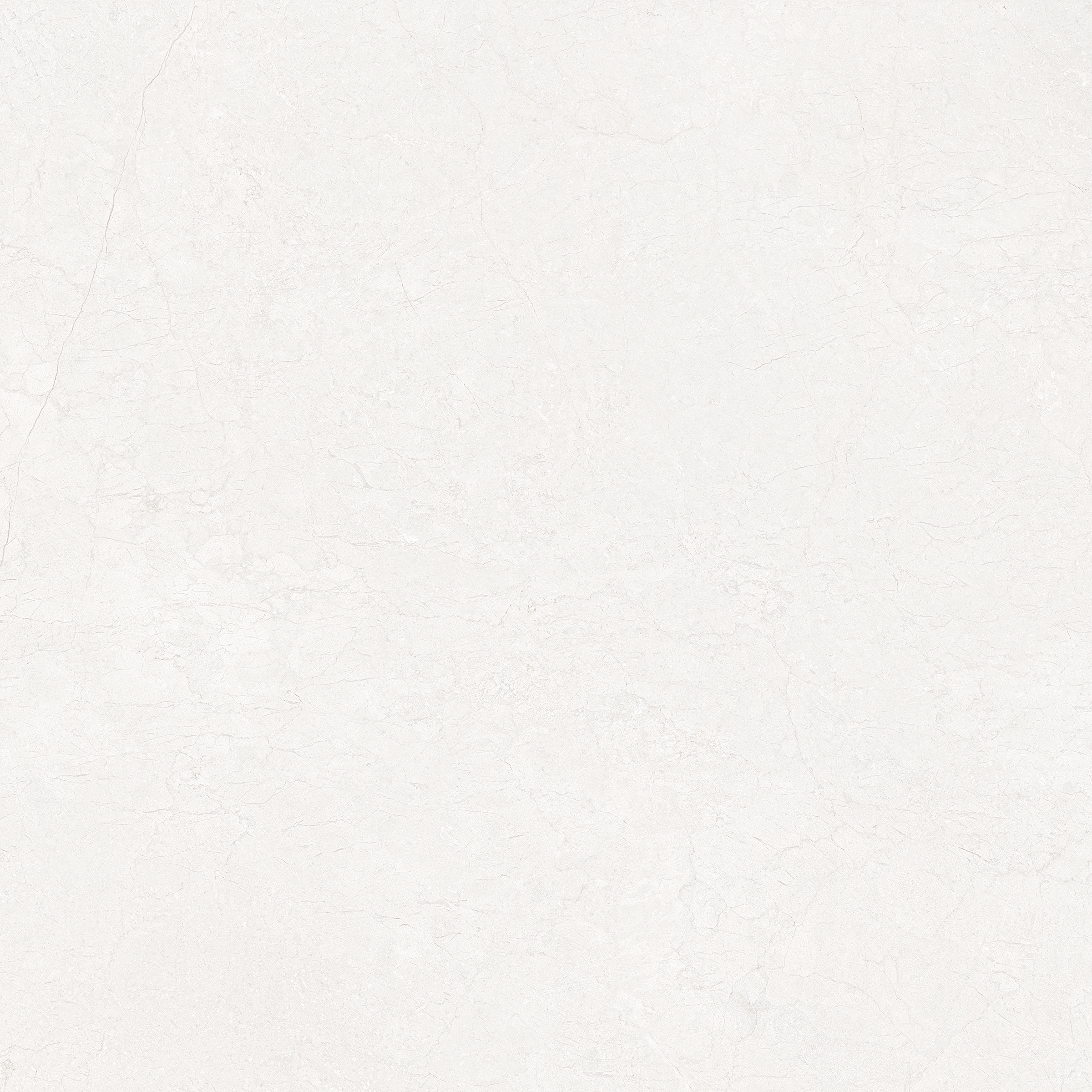 Gạch ốp lát Libon Divina White, Glossy, 120x120